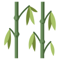 bomboo Plant